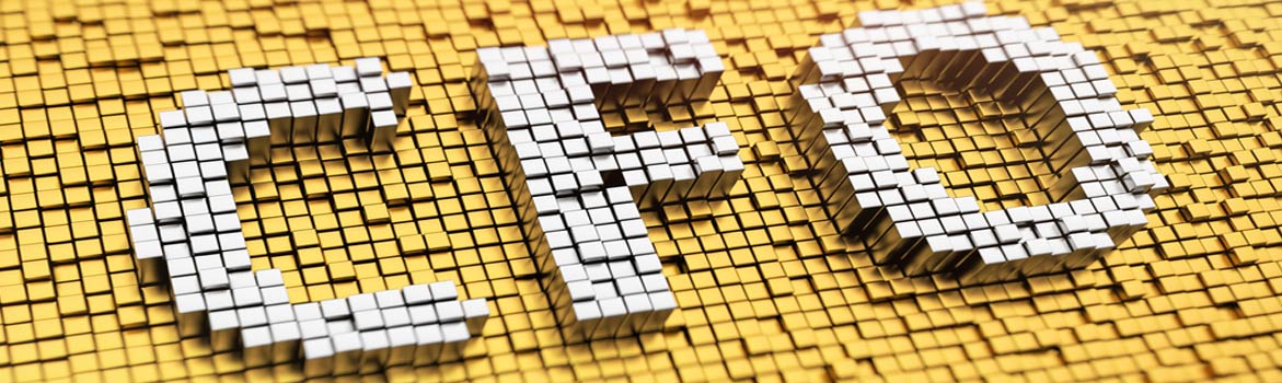 CFO Header.jpg